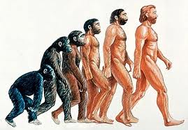 evolucion